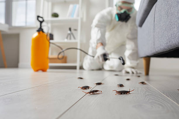 Trusted Cockroach Control service in Elberton, GA - Nex Pest Control