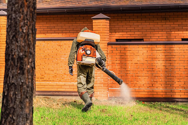 Trusted Ant Control service in Elberton, GA - Nex Pest Control